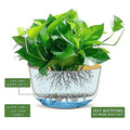 Self Watering Hanging Planters Indoor Outdoor Thickened Hanging Basket Flower Plant Pot 2 Pack