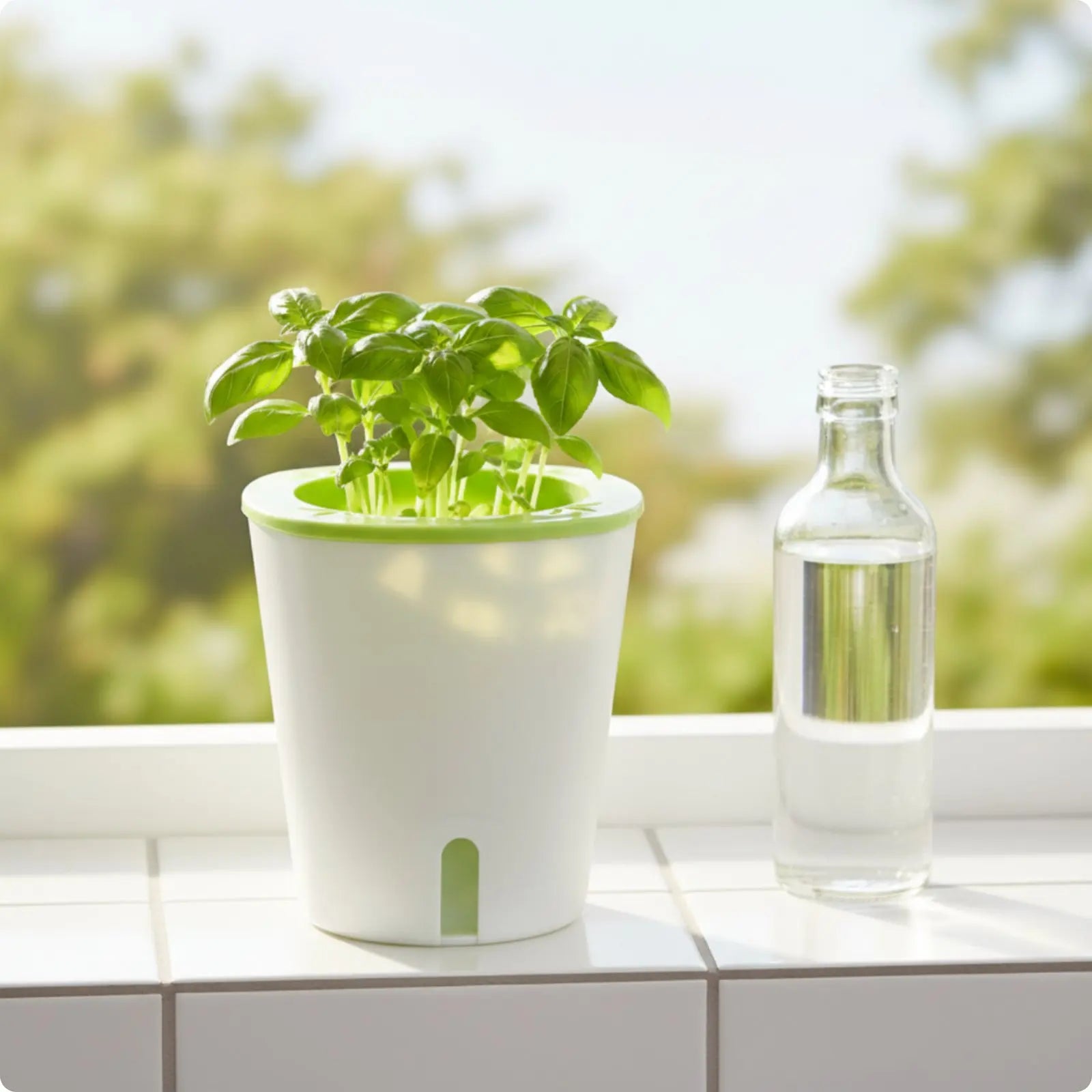 Self Watering Planter Easy to Clean Self Watering Pot Water Reservoir Planter Non Garden Container Resistant