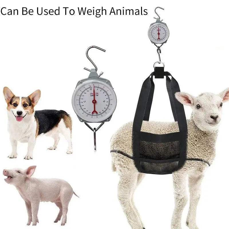 The Hook Type Mechanical Pointer Scale With Spring Dial Is Suitable For Weighing Purposes In Kitchens Fishing Hunting Etc