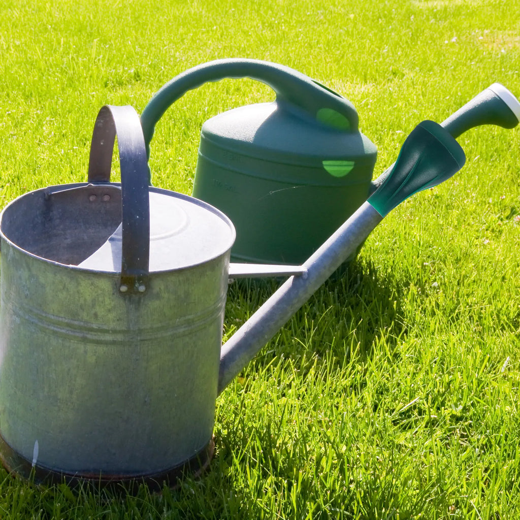 Watering Can Head Lightweight Plastic Sprinkler Nozzle for Indoor Outdoor Plants Garden Bonsai Watering Can Head