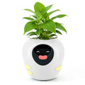 Plantbot Upgraded Large Smart Flower Pot Pet Planter Robot with Artificial Intelligence Time Temperature Display and Numerous E