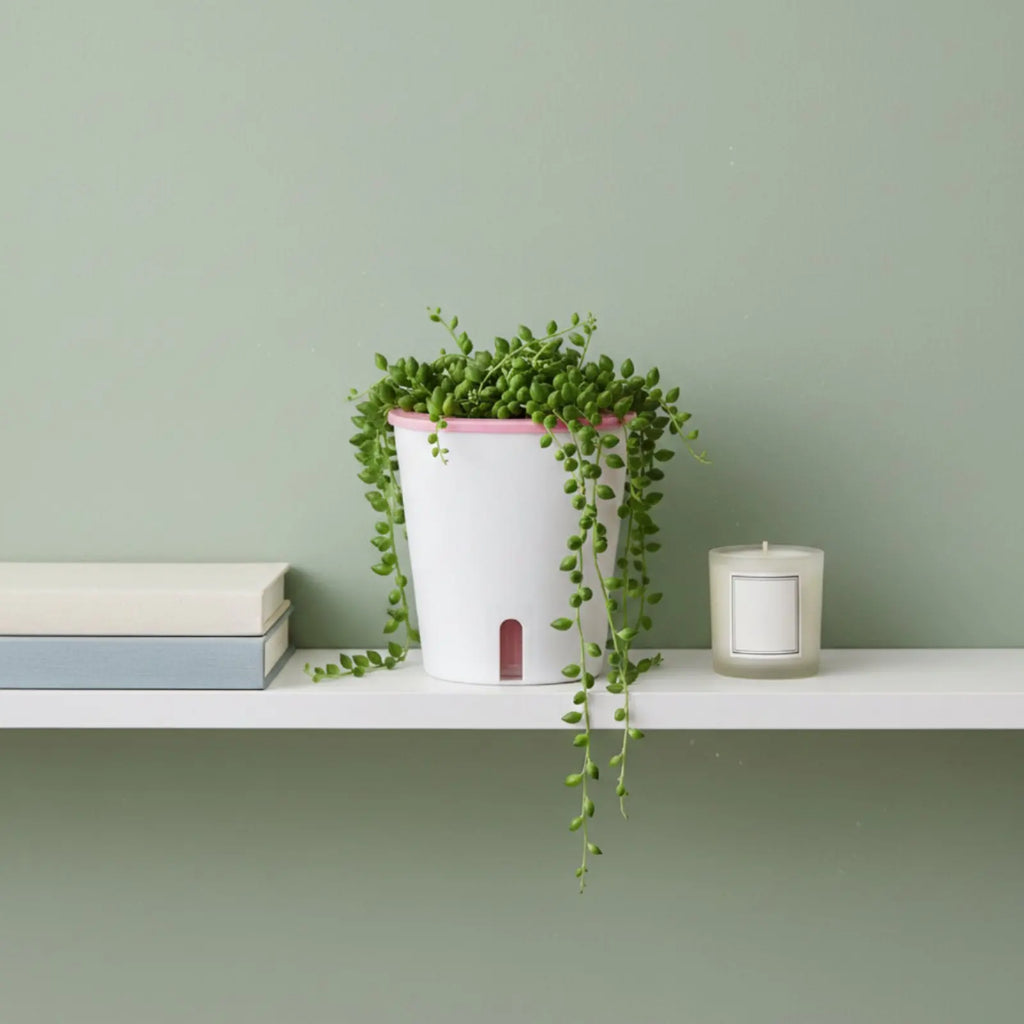 Self Watering Planter Easy to Clean Self Watering Pot Water Reservoir Planter Non Garden Container Resistant