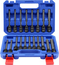 19-Piece 3/8 Inch Drive Extra Long Hex and Torx Bit Socket Set with Premium S2 Steel and CR-V Sockets, Includes Storage Case