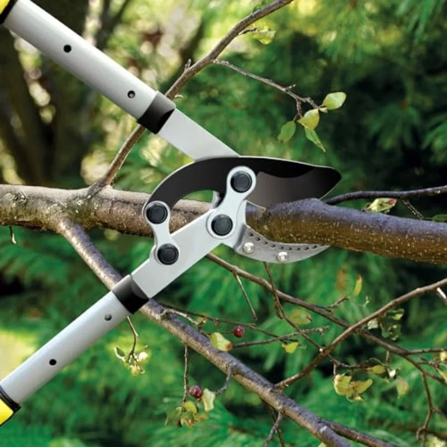Loppers for Tree Trimming Heavy Duty with Compound Action, Labor-Saving Branch Cutter with 2 Inch Capacity, 5-Level Extendable